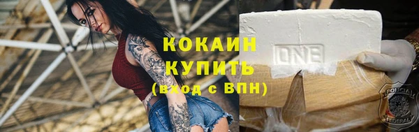 крисы Горняк