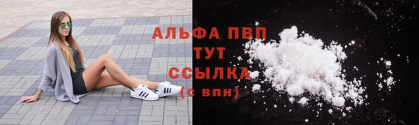 крисы Горняк