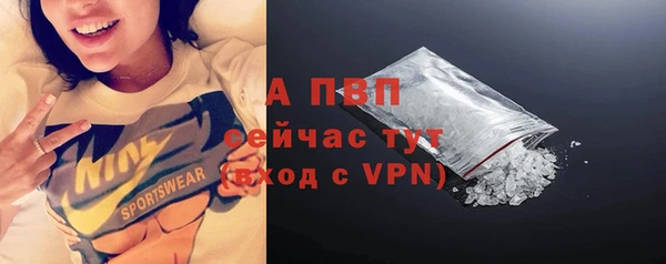 крисы Горняк