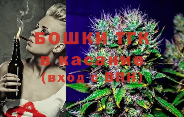 крисы Горняк