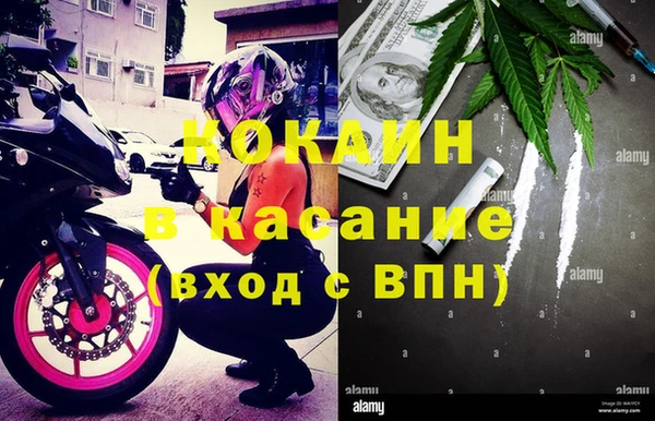 крисы Горняк