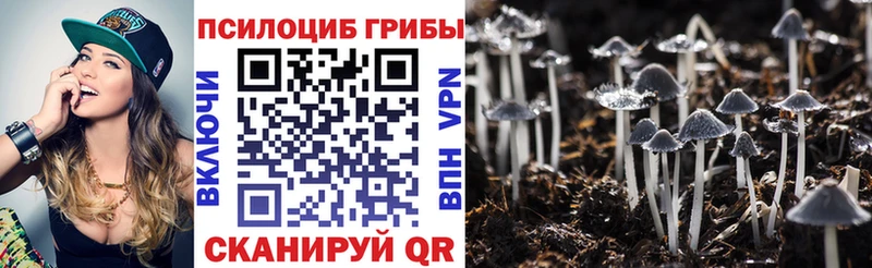 Галлюциногенные грибы прущие грибы  Терек 